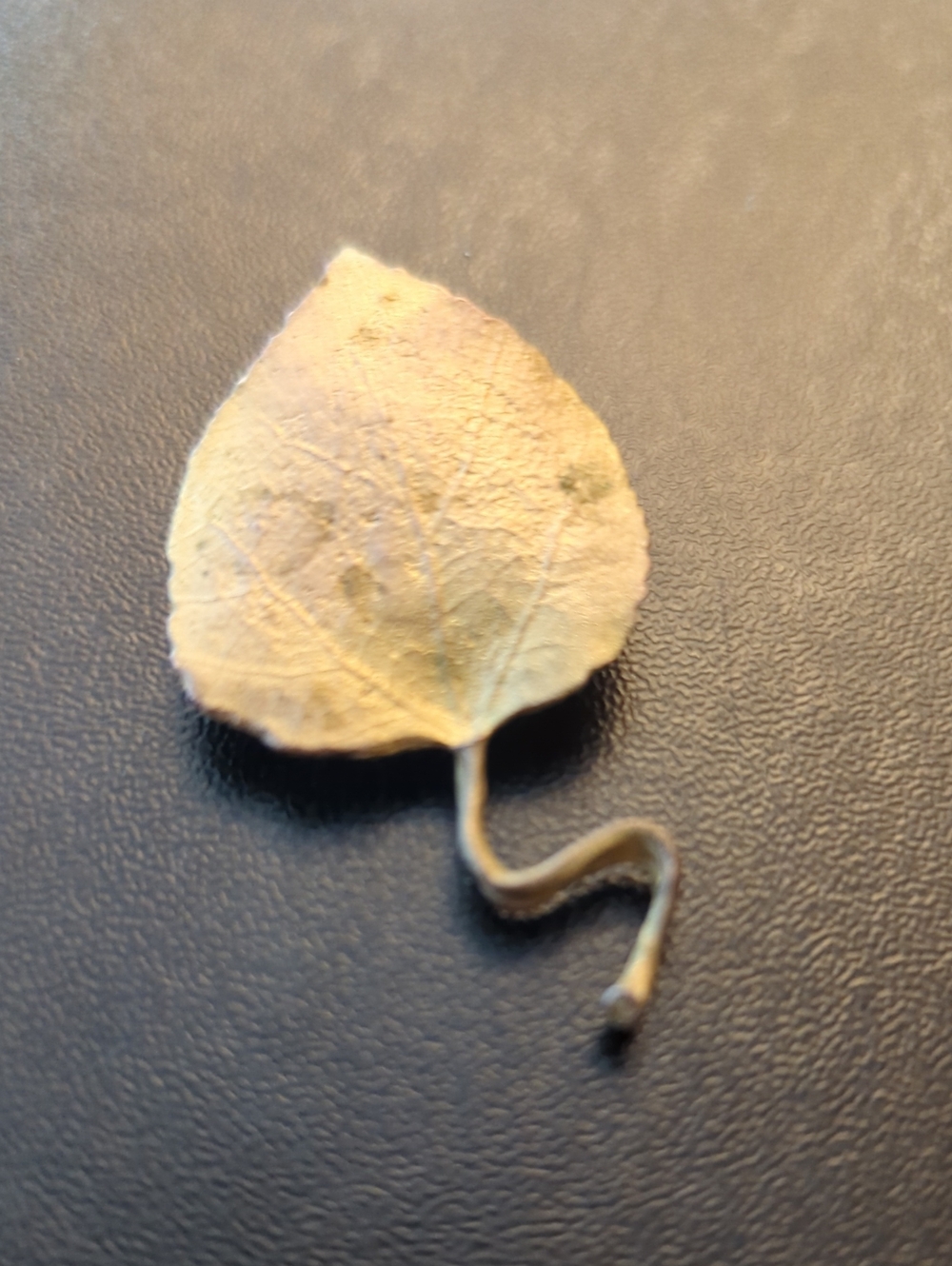 Matte Goldtone Aspen Leaf Brooch